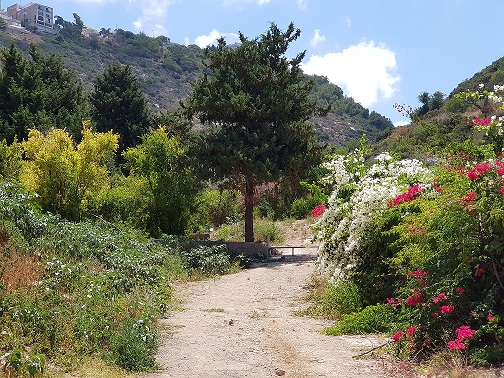 נחל שיח חיפה