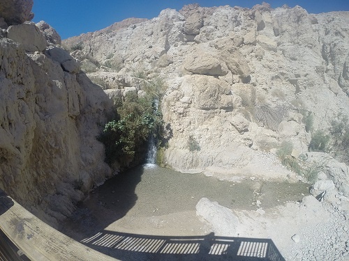 נחל דוד בשמורת הטבע עין גדי