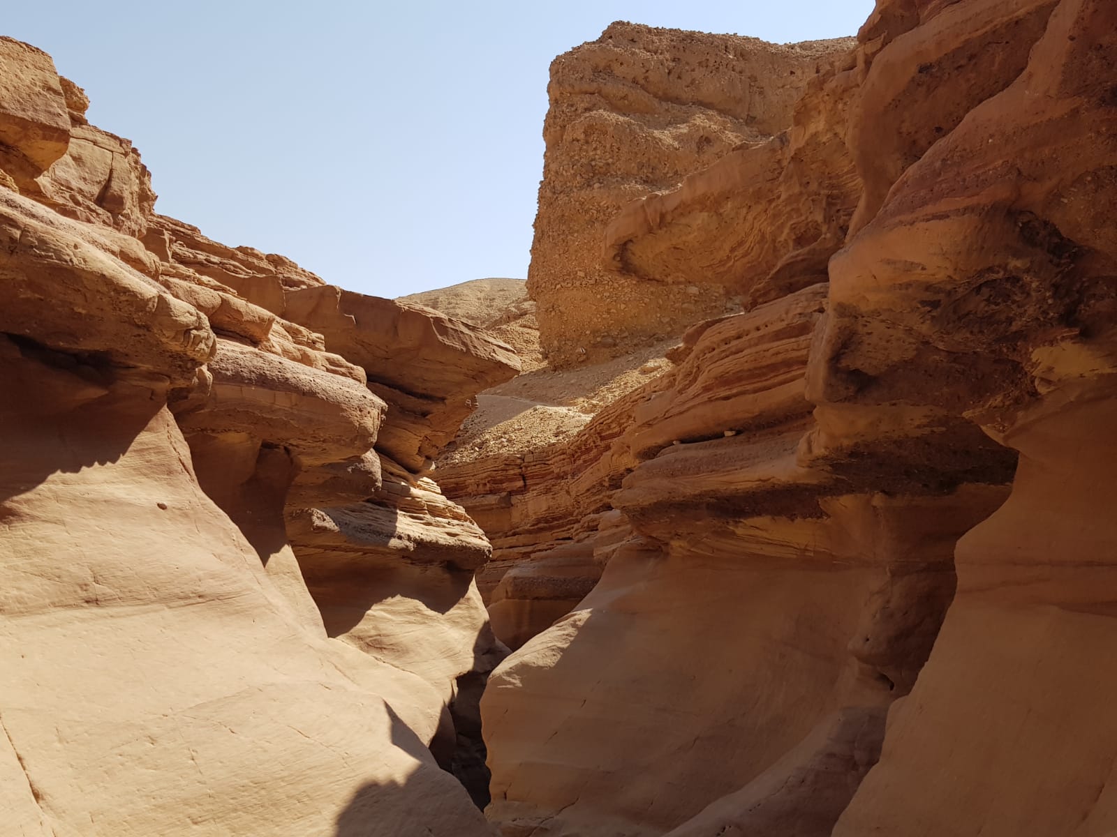 הקניון האדום בהרי אילת