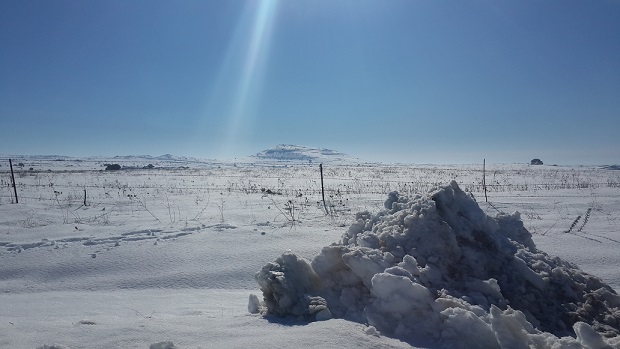רמת הגולן בשלג