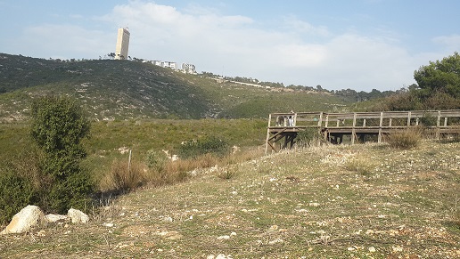 שמורת הטבע חי בר חיפה