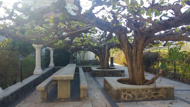 כנסיית שנים-עשר השליחים בכנרת