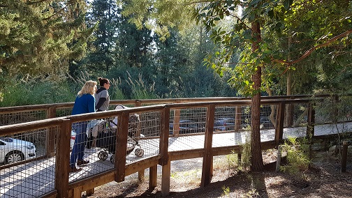 נחל השופט רמות מנשה