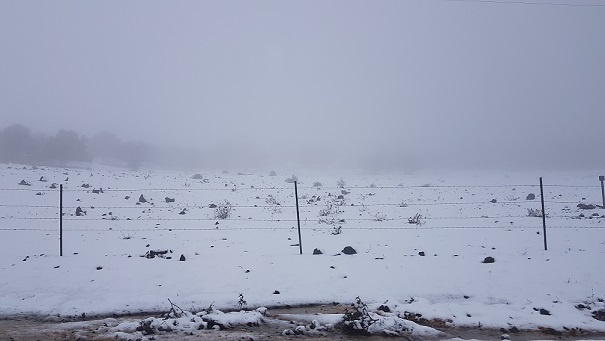 רמת הגולן בשלג