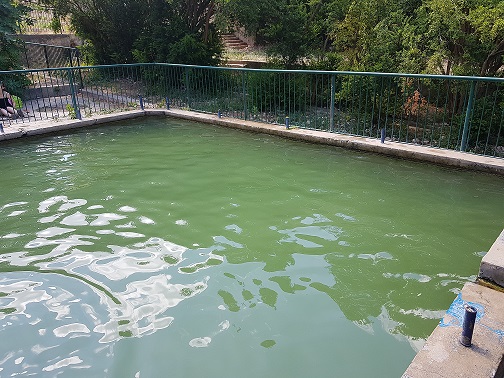 נחל שיח חיפה