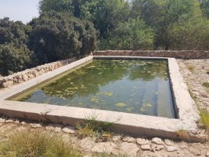 עין צור רמת הנדיב