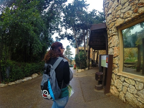 גן החיות גן האם חיפה