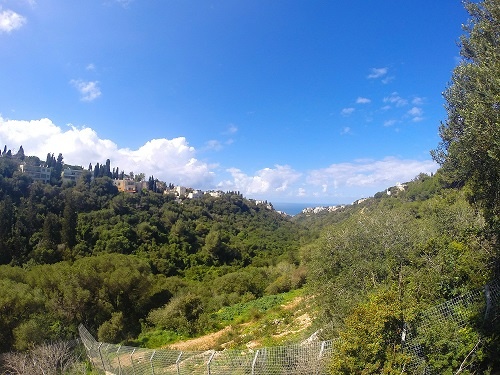 גן החיות גן האם חיפה