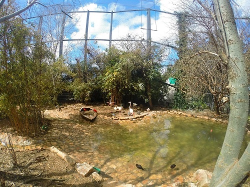 גן החיות גן האם חיפה