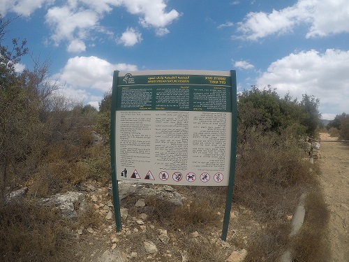 שמורת הטבע נחל עמוד