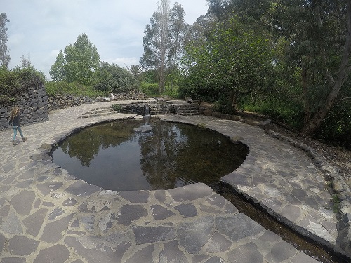 עיינות עדן עין סלוקיה מעיינות עדן