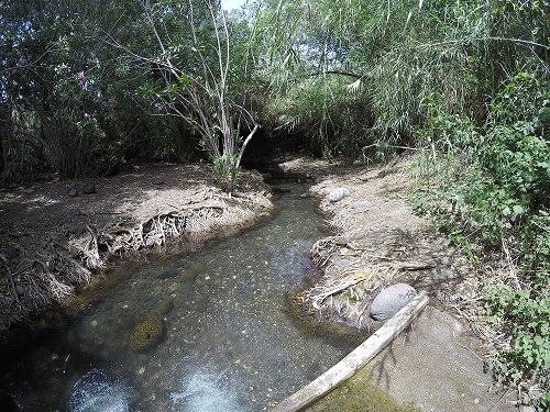 שמורת הטבע מג'רסה