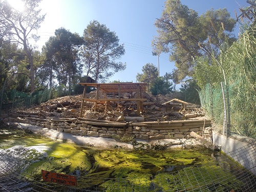 גן החיות התנכי ירושלים