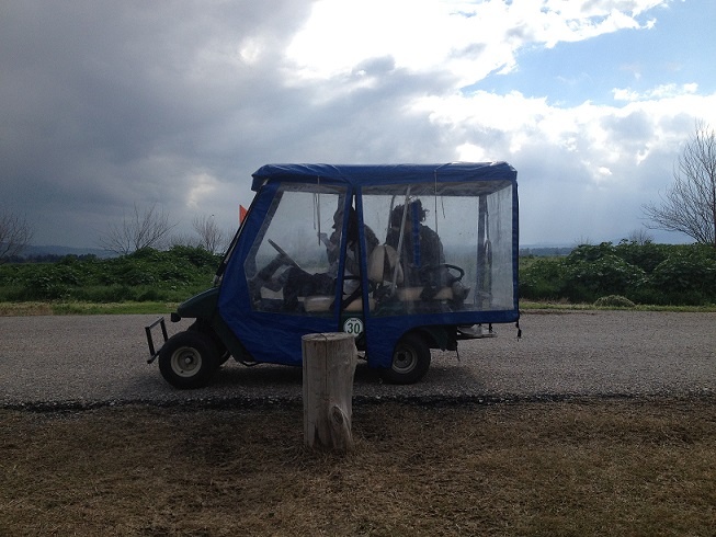 אגמון החולה