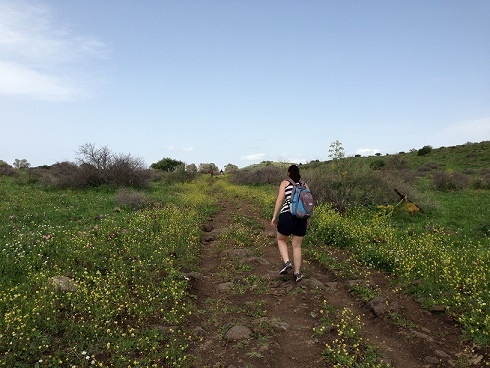 שמורת הטבע נחל זוויתן