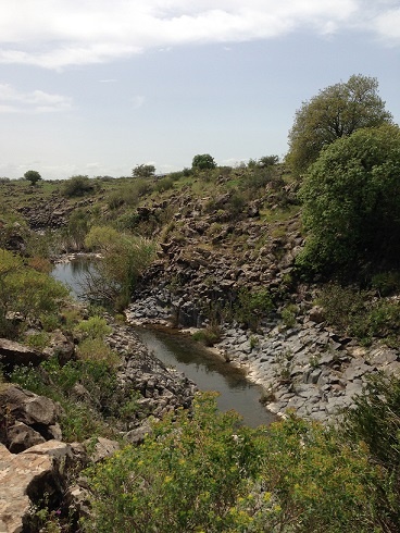 שמורת הטבע נחל זוויתן