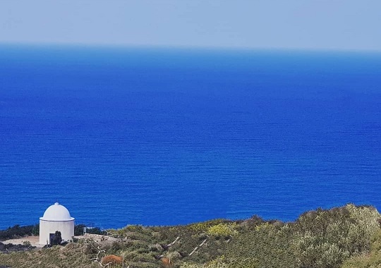 סטלה מאריס חיפה