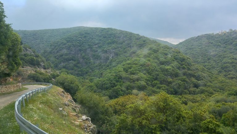 נחל כזיב עין טמיר עין זיו