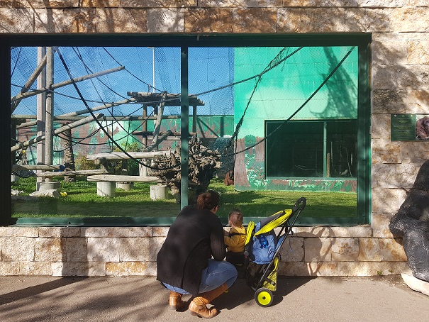 גן החיות מוצקין חי פארק מוצקין