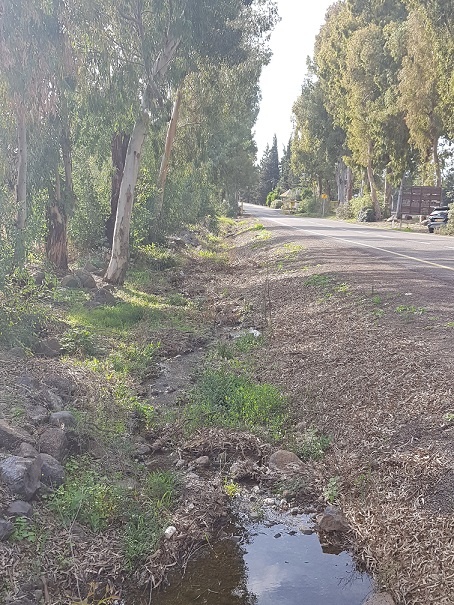 כפר האומנים אניעם