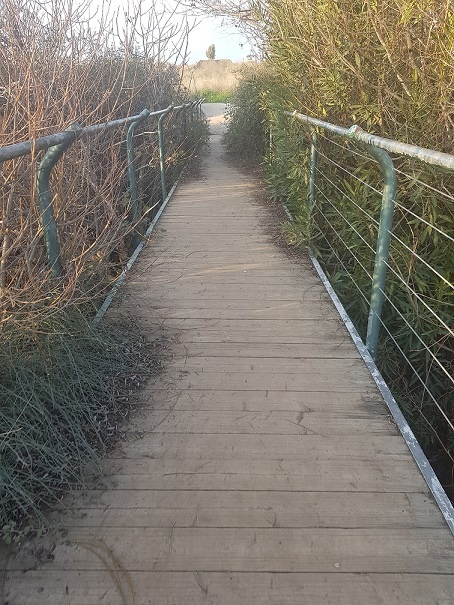 מפל עייט כפר האומנים אניעם