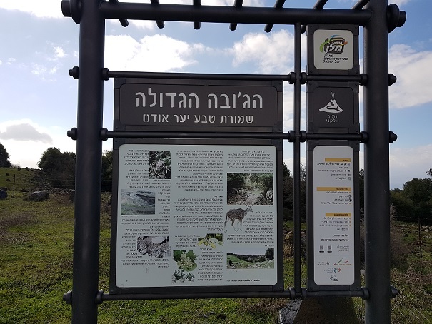 הג'ובה הגדולה שמורת טבע יער אודם