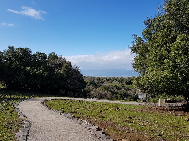 הג'ובה הגדולה שמורת טבע יער אודם