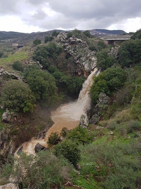 מפל סער רמת הגולן