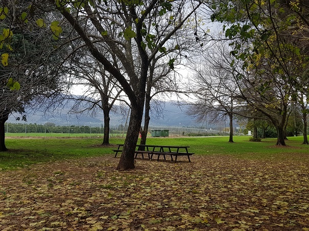 פארק דפנה טיול פריחה קיבוץ דפנה