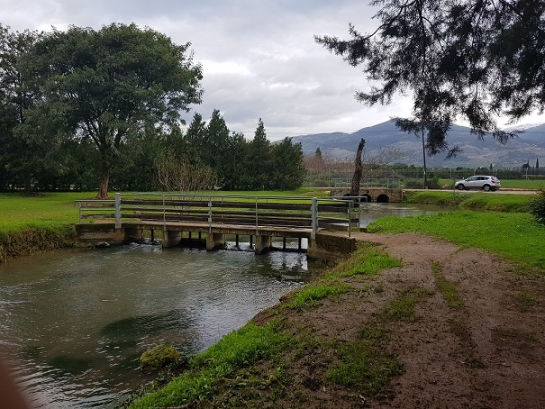 פארק דפנה טיול פריחה קיבוץ דפנה