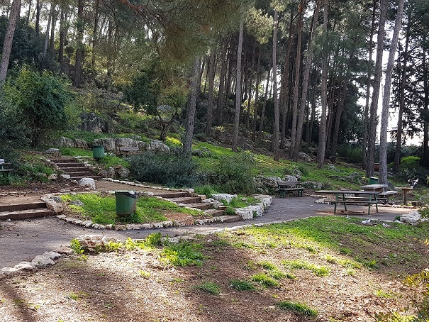 מפלי פרוד שפר נחל צלמון עליון