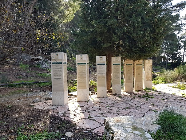 מפלי פרוד שפר נחל צלמון עליון