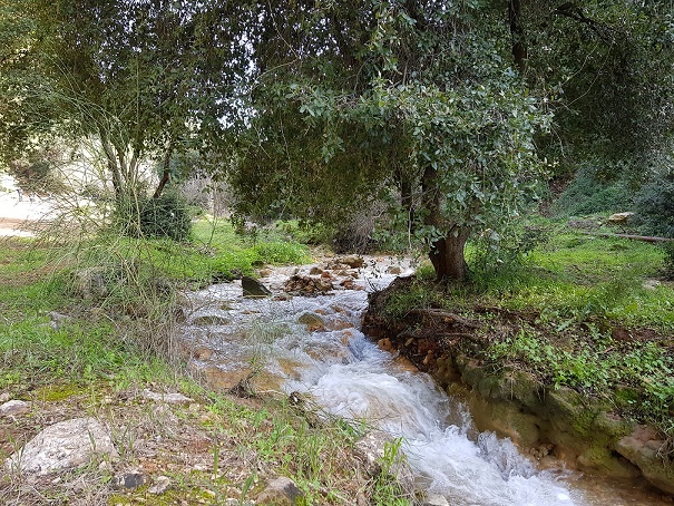מפלי פרוד שפר נחל צלמון עליון