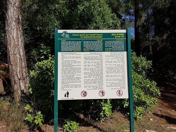 מפלי פרוד שפר נחל צלמון עליון