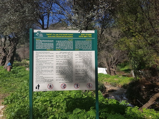 שמורת הטבע נחל ראש פינה