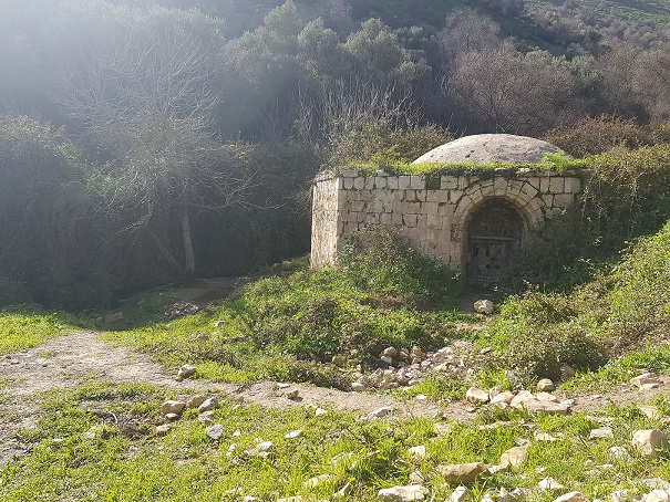 שמורת הטבע נחל ראש פינה