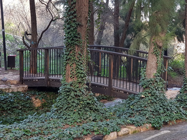 שמורת הטבע נחל ראש פינה