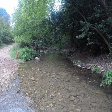 נחל כזיב עין טמיר עין זיו