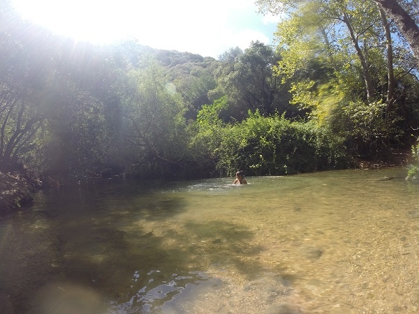 נחל כזיב עין טמיר עין זיו מבצר המונפורט