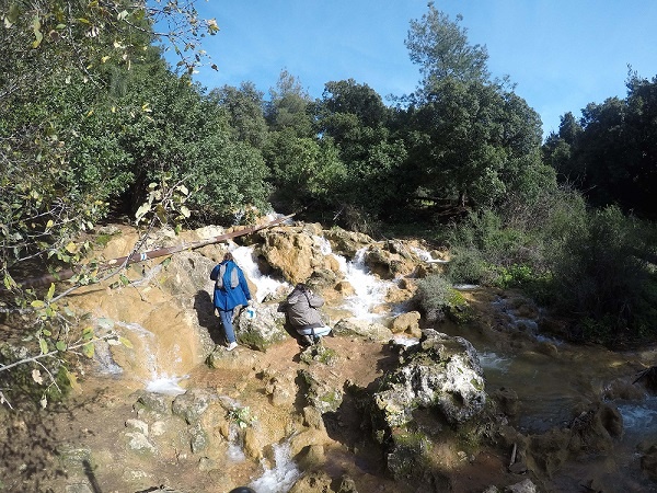 מפלי פרוד שפר נחל צלמון עליון שמורת הטבע הר מירון