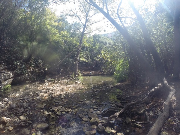 נחל כזיב עין טמיר עין זיו