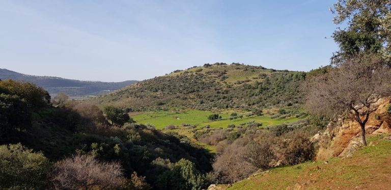 מפלי פרוד שפר נחל צלמון עליון שמורת הטבע הר מירון