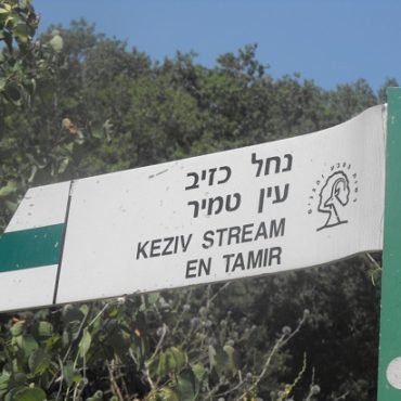 נחל כזיב עין טמיר עין זיו מבצר המונפורט