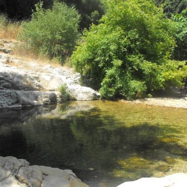 נחל כזיב עין טמיר עין זיו מבצר המונפורט