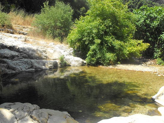 נחל כזיב עין טמיר עין זיו מבצר המונפורט