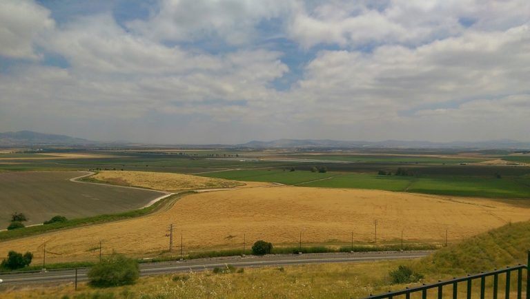 גן לאומי תל מגידו