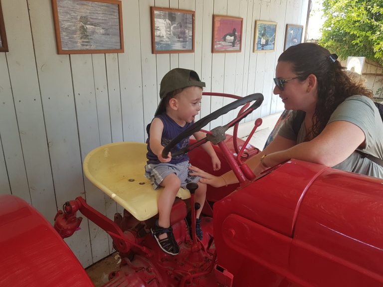 ברווזים בכפר – מרכז מבקרים לכל המשפחה