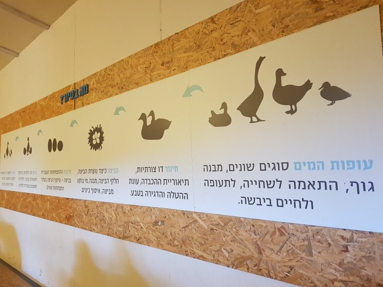 ברווזים בכפר – מרכז מבקרים לכל המשפחה