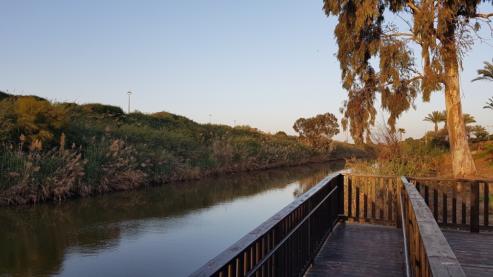 פארק נחל לכיש באשדוד – טבע, חיות ושעשועים והכל בחינם