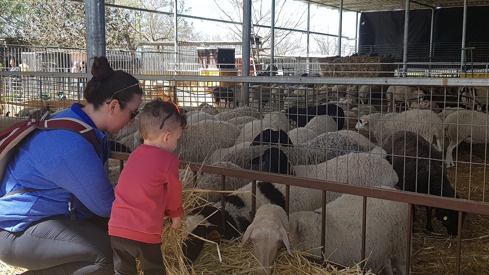 פארק ארץ הצבי – הטבע במלוא אדיבותו בלב השרון
